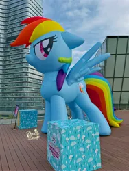 Size: 4284x5712 | Tagged: safe, derpibooru import, official, rainbow dash, pony, g4, balloon, chinese text, cutie mark, image, irl, jpeg, looking back, moon runes, outdoors, photo, side view, sky, solo, spread wings, standing, text, wings