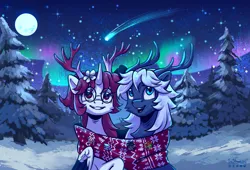 Size: 3240x2208 | Tagged: safe, artist:teaflower300, derpibooru import, oc, unofficial characters only, alicorn, pony, alicorn oc, antlers, aurora borealis, duo, horn, image, night, png, snow, snowfall, wings