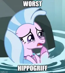 Size: 500x568 | Tagged: safe, derpibooru import, edit, edited screencap, screencap, silverstream, g4, annoying, crying, deserved, funny, image, jpeg, loser, op is right, op is telling the truth, op succeeded in being funny, pathetic, punishment, streamabuse, stupid, truth, worst characters of all time, worst hippogriff, worst pony