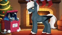 Size: 2560x1440 | Tagged: safe, artist:ynery, derpibooru import, oc, oc:aura rhinestone, oc:tempest streamrider, unofficial characters only, bat pony, pegasus, bat hybrid, box, christmas, christmas stocking, christmas tree, clothes, commission, duo, female, fire, fireplace, holiday, image, jewelry, male, png, present, socks, tiara, tree