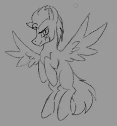 Size: 1045x1127 | Tagged: safe, artist:heyitsbrad, oc, oc:night, unofficial characters only, pegasus, pony, eye scar, frown, image, looking at you, male, monochrome, png, scar, solo, spread wings, stallion, tail, wings