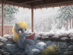 Size: 3200x2400 | Tagged: safe, artist:novaintellus, derpibooru import, derpy hooves, pegasus, pony, g4, book, forest, glasses, image, nature, onsen, png, reading, snow, solo, tree, winter