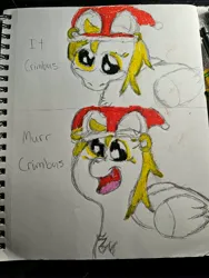 Size: 3000x4000 | Tagged: safe, artist:2tailedderpy, derpibooru import, derpy hooves, g4, christmas, colored, female, hat, holiday, image, jpeg, looking at you, looking down, photo, santa hat, sketch, solo, solo female, traditional art