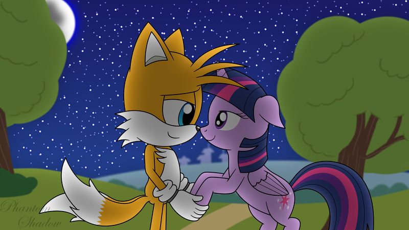 Size: 4800x2700 | Tagged: safe, artist:phantomshadow051, derpibooru import, twilight sparkle, twilight sparkle (alicorn), alicorn, anthro, fox, pony, g4, boop, crossover, crossover shipping, digital art, duo, grass, holding hands, image, miles "tails" prower, mobian, night, noseboop, png, road, shipping, signature, sky, sonic the hedgehog (series), sonicified, starry night, stars, tree, twitails