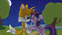 Size: 4800x2700 | Tagged: safe, artist:phantomshadow051, derpibooru import, twilight sparkle, twilight sparkle (alicorn), alicorn, anthro, fox, pony, g4, boop, crossover, crossover shipping, digital art, duo, grass, holding hands, image, miles "tails" prower, mobian, night, noseboop, png, road, shipping, signature, sky, sonic the hedgehog (series), sonicified, starry night, stars, tree, twitails