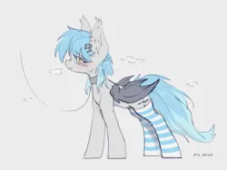 Size: 3200x2401 | Tagged: suggestive, artist:zylgchs, derpibooru import, oc, oc:tu-vos, unofficial characters only, bat pony, blushing, clothes, collar, image, leash, png, simple background, socks, solo, striped socks