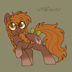 Size: 600x600 | Tagged: safe, artist:puppie, derpibooru import, oc, oc:wildflower, unofficial characters only, earth pony, pony, bow, braid, braided pigtails, brown coat, female, freckles, green background, image, messy mane, orange mane, pigtails, png, simple background, solo, solo female, tail, tail bow