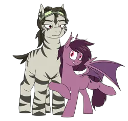 Size: 1908x1804 | Tagged: safe, artist:moonatik, derpibooru import, oc, oc:pocarona, oc:simika, unofficial characters only, bat pony, pony, zebra, bat pony oc, bat wings, female, goggles, goggles on head, image, male, mare, muscles, muscular female, png, size difference, stallion, straight, wings, zebra oc