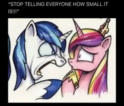 Size: 1242x1063 | Tagged: suggestive, derpibooru import, edit, idw, princess cadance, shining armor, alicorn, unicorn, g4, angry, exclamation point, horn, image, jpeg, meme, small penis humiliation, vulgar, yelling