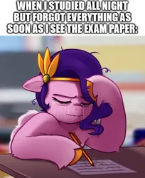 Size: 500x613 | Tagged: safe, artist:maren, derpibooru import, edit, editor:fieryfly, pipp petals, pegasus, pony, g5, caption, crying, female, frustrated, image, mare, meme, png, solo, stressed, text, writing