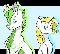 Size: 4876x4355 | Tagged: safe, artist:that-softscorpio, derpibooru import, oc, oc:citrine quartz, oc:jasper, unofficial characters only, dracony, hybrid, pony, unicorn, brothers, bust, duo, duo male, half-siblings, horn, image, interspecies offspring, male, offspring, parent:prince blueblood, parent:rarity, parent:spike, parents:rariblood, parents:sparity, png, siblings, smiling, stallion