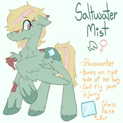 Size: 1280x1280 | Tagged: semi-grimdark, artist:brynnstic, derpibooru import, oc, oc:saltwater mist, unofficial characters only, pegasus, pony, burned, cutie mark, female, green coat, image, injured, mare, missing wing, one winged pegasus, pegasus oc, png, reference sheet, simple background, solo, sweat, text, wings, yellow mane