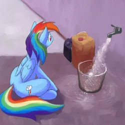 Size: 800x800 | Tagged: safe, artist:anonymous, rainbow dash, pegasus, pony, big thighs, faucet, female, folded wings, image, jpeg, jug, large butt, mare, meme, outdoors, ponified meme, silly, silly pony, sitting, solo, spigot, waiting, water, wet floor, wings, wire basket