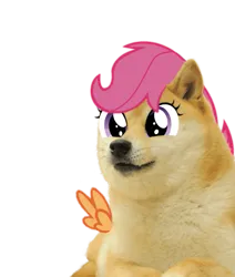 Size: 733x863 | Tagged: safe, artist:feraline(r), derpibooru import, edit, scootaloo, dog, pegasus, shiba inu, g4, doge, image, png, simple background, spread wings, transparent background, wings