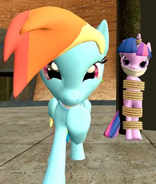 Size: 649x766 | Tagged: safe, derpibooru import, rainbow dash, twilight sparkle, pegasus, unicorn, g4, 3d, abuse, angry, bondage, bound and gagged, cloth gag, gag, gritted teeth, horn, image, jpeg, my little pony, pole tied, source filmmaker, teeth, twilight sparkle is not amused, twilybuse, unamused