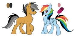 Size: 1590x783 | Tagged: dead source, safe, artist:hioshiru, derpibooru import, quibble pants, rainbow dash, earth pony, pegasus, pony, comic:tale road, g4, chest fluff, duo, duo male and female, female, folded wings, image, male, mare, png, profile, side view, simple background, stallion, tail, wings