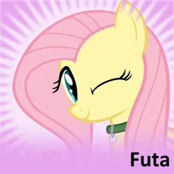 Size: 1024x1024 | Tagged: safe, derpibooru import, fluttershy, oc, oc:futashy, derpibooru, twibooru, g4, collar, cute, futa, futa fluttershy, image, intersex, meta, official spoiler image, one eye closed, pet tag, png, shyabetes, solo, spoiler image, spoilered image joke, wink