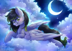 Size: 2048x1448 | Tagged: safe, artist:tokokami, derpibooru import, oc, oc:silver moon, unofficial characters only, pegasus, pony, blushing, cloud, cute, daaaaaaaaaaaw, female, image, jpeg, looking at you, lying down, mare, moon, night, ocbetes, scenery, scenery porn, sky, smiling, solo, stars