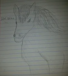 Size: 1149x1280 | Tagged: artist needed, safe, horse, /v/, image, jpeg, sketch, solo, traditional art