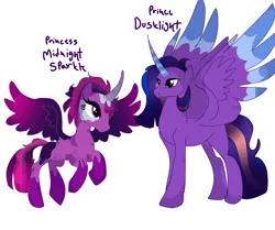 Size: 3878x3243 | Tagged: safe, derpibooru import, flash sentry, sci-twi, twilight sparkle, oc, oc:prince dusklight sparkle, oc:princess midnight sparkle, alicorn, pony, equestria girls, g4, alicorn oc, black fade, blue eyes, blue horn, blue mane, blue wingtips, brother and sister, dark purple wings, female, flying, horn, image, male, mare, midnight sparkle, my little pony: the protectors of harmony, next generation, offspring, pale horn, parent:flash sentry, parent:twilight sparkle, parents:flashlight, pink fade, pink mane, png, prince, princess, purple coat, purple eyes, purple mane, siblings, splotches, spread wings, stallion, wings