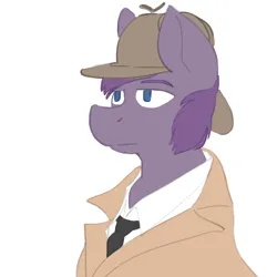 Size: 3000x3000 | Tagged: safe, artist:acey, derpibooru import, oc, oc:iron glare, unofficial characters only, clip studio paint, clothes, colored, deerstalker, derpibooru exclusive, detective, hat, image, necktie, png, simple background, solo, trenchcoat, white background