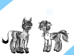 Size: 2732x2048 | Tagged: safe, artist:chunk_spunk, derpibooru import, oc, oc:nacelle, oc:suelo zanja, unofficial characters only, donkey, earth pony, pegasus, pony, bag, clothes, donkey oc, duo, duo male, image, male, png, saddle bag