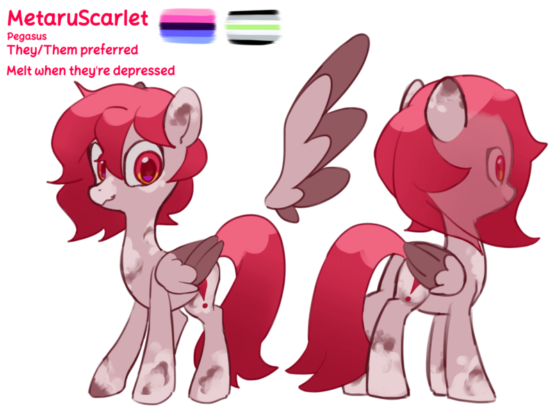 Size: 4096x3072 | Tagged: safe, artist:metaruscarlet, derpibooru import, oc, oc:metaru scarlet, unofficial characters only, pegasus, pony, agender pride flag, english, folded wings, image, omnisexual pride flag, pegasus oc, png, pride, pride flag, reference sheet, simple background, spotted, text, transparent background, wings