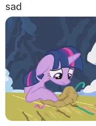 Size: 452x592 | Tagged: safe, derpibooru import, twilight sparkle, unicorn, g4, horn, image, jpeg, ruined, sad, sad face