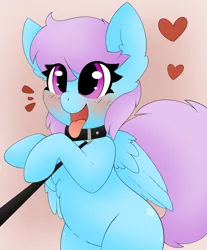 Size: 2489x3000 | Tagged: safe, artist:pegamutt, derpibooru import, oc, oc:meadowsong, unofficial characters only, pegasus, pony, behaving like a dog, collar, commission, happy, heart, image, leash, pegasus oc, pet play, png, simple background, solo, tongue out, wings, ych result