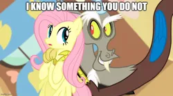 Size: 888x499 | Tagged: safe, derpibooru import, screencap, discord, fluttershy, draconequus, pony, keep calm and flutter on, caption, g4, image, imgflip, jpeg, text