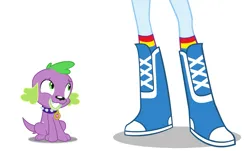 Size: 1887x1137 | Tagged: safe, anonymous artist, derpibooru import, rainbow dash, spike, dog, human, equestria girls, beautiful, beautisexy, cute, g4, image, legs, pictures of legs, png, pretty, sexy, simple background, white background