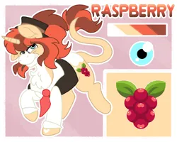 Size: 2500x2000 | Tagged: safe, artist:euspuche, derpibooru import, oc, oc:raspberry, unofficial characters only, unicorn, clothes, female, image, looking at you, png, raba-pony, reference sheet, sassy, smiling, walking