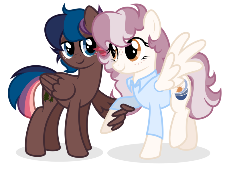 Size: 2000x1480 | Tagged: safe, artist:shizow, derpibooru import, oc, oc:maritime, oc:starchaser, unofficial characters only, pegasus, pony, clothes, female, image, mare, png, shirt, simple background, transparent background