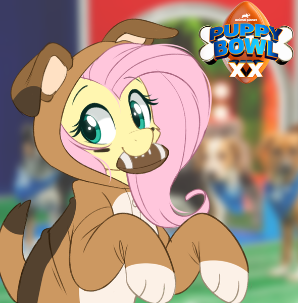 Size: 839x853 | Tagged: safe, artist:higgly-chan, derpibooru import, fluttershy, pegasus, pony, american football, beautiful, clothes, costume, cute, dog costume, female, halfbody, image, irl, looking at you, mouth hold, onesie, photo, png, pretty, puppy bowl, solo, sports