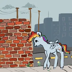 Size: 2500x2500 | Tagged: safe, artist:poniebones, derpibooru import, rainbow dash, pegasus, pony, brick wall, building, city, cityscape, female, folded wings, g4, image, mare, open mouth, png, power line, road, sidewalk, solo, walking, wings