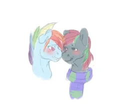 Size: 1000x856 | Tagged: safe, artist:ptg, derpibooru import, rainbow dash, oc, oc:sky trotter, pegasus, pony, blushing, bust, canon x oc, clothes, duo, duo male, g4, gay, grin, image, lidded eyes, looking at each other, looking at someone, male, png, portrait, rainbow blitz, rule 63, scarf, simple background, smiling, stallion, white background