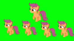 Size: 1080x600 | Tagged: safe, screencap, scootaloo, pegasus, pony, clap your hands, female, image, jpeg, multeity, scootalots