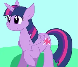 Size: 931x800 | Tagged: safe, artist:cmara, derpibooru import, twilight sparkle, twilight sparkle (alicorn), alicorn, pony, female, g4, image, png, solo