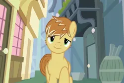 Size: 1024x684 | Tagged: safe, derpibooru import, screencap, feather bangs, earth pony, pony, fanfic, hard to say anything, season 7, fanfic art, fanfic cover, g4, image, jpeg, location needed, looking at you, male, seductive look, solo, stallion