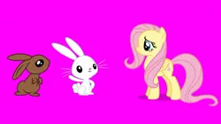 Size: 1080x605 | Tagged: safe, screencap, angel bunny, fluttershy, pegasus, pony, rabbit, series:an angel's tale, series:mlp animation's short films, angelbetes, animal, cute, image, jpeg, shyabetes, trio