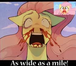 Size: 3000x2604 | Tagged: semi-grimdark, artist:highrolleryt, derpibooru import, fluttershy, pegasus, pony, smile hd, blood, bloody mouth, fear, female, frown, g4, image, imminent death, jpeg, mare, nosebleed, open mouth, pink eyes, redraw, scared, sky background, solo, terrified, text