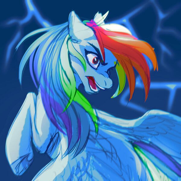 Size: 2000x2000 | Tagged: safe, artist:nettlemoth, derpibooru import, rainbow dash, pegasus, pony, image, jpeg, solo