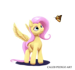 Size: 3821x3561 | Tagged: safe, artist:calebpedigo, derpibooru import, fluttershy, butterfly, insect, pegasus, pony, female, high res, image, looking at something, mare, png, signature, simple background, solo, spread wings, white background, wings