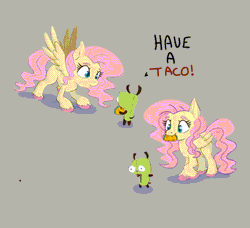Size: 960x876 | Tagged: safe, artist:nedemai, derpibooru import, fluttershy, pegasus, pony, robot, animated, colored hooves, crossover, dancing, duo, eating, eye shimmer, food, gif, gir, gray background, image, invader zim, missing cutie mark, mouth hold, nom, open mouth, simple background, spread wings, taco, unshorn fetlocks, wings