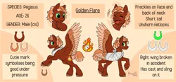Size: 4096x1908 | Tagged: safe, artist:kleowolfy, derpibooru import, oc, oc:golden flare, ponified, unofficial characters only, pegasus, pony, bandage, broken bone, broken wing, brown background, cast, colored hooves, colored wings, freckles, image, injured, large wings, leg fluff, multicolored wings, png, reference sheet, short tail, simple background, sling, smiling, solo, species swap, tail, unshorn fetlocks, wings