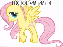 Size: 676x500 | Tagged: safe, derpibooru import, fluttershy, pegasus, pony, caesar salad, female, g4, image, jpeg, looking at you, mare, meme, raised hoof, simple background, smiling, smiling at you, solo, spread wings, text, wat, white background, wings