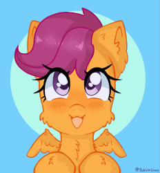 Size: 519x560 | Tagged: safe, artist:bubblegooey, derpibooru import, part of a set, scootaloo, pegasus, pony, :3, :d, adorable face, animated, blue background, blushing, bust, cheek fluff, chest fluff, cute, cutealoo, daaaaaaaaaaaw, ear fluff, eye shimmer, female, filly, fluffy, foal, g4, gif, happy, hoof fluff, image, looking at you, looking up, looking up at you, neck fluff, open mouth, open smile, orange coat, purple eyes, purple mane, scootalove, short mane, signature, simple background, smiling, smiling at you, solo, sparkly eyes, wing fluff, wingding eyes, wings