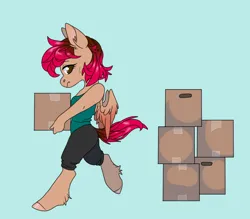 Size: 1600x1400 | Tagged: safe, artist:sinclair2013, derpibooru import, oc, oc:sinclair, unofficial characters only, anthro, pegasus, unguligrade anthro, box, image, moving, png, simple background, solo, sweat, sweatdrop
