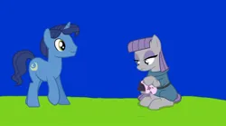 Size: 1080x599 | Tagged: safe, screencap, maud pie, night light, earth pony, pony, unicorn, series:maud knows best, series:mlp animation's short films, cleaning, duo, image, jpeg, rock