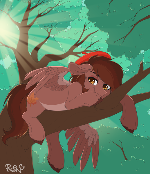 Size: 5600x6500 | Tagged: safe, artist:reins, derpibooru import, oc, oc:autumn rosewood, pegasus, beret, content, crepuscular rays, hat, image, in a tree, male, maple leaf, pegasus oc, png, solo, solo focus, solo male, tree, wings